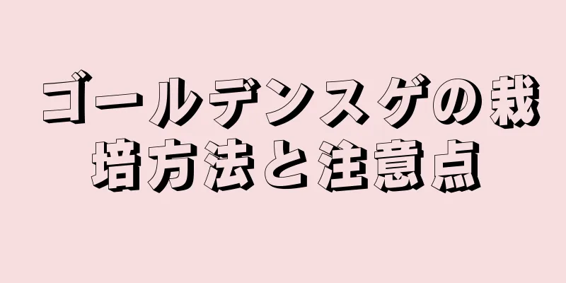 ゴールデンスゲの栽培方法と注意点