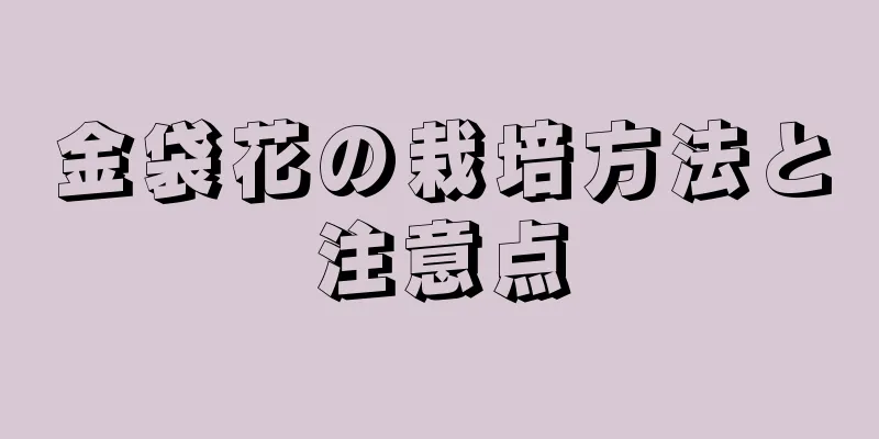 金袋花の栽培方法と注意点