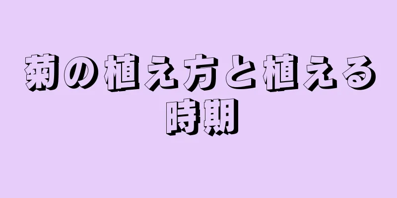 菊の植え方と植える時期