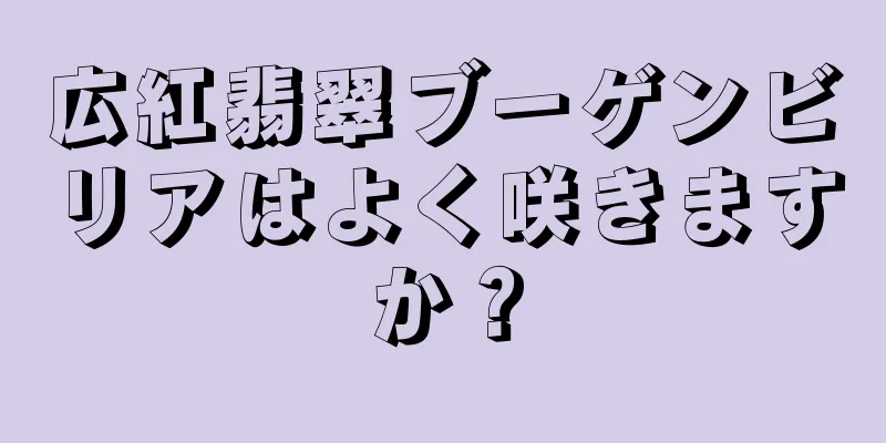 広紅翡翠ブーゲンビリアはよく咲きますか？