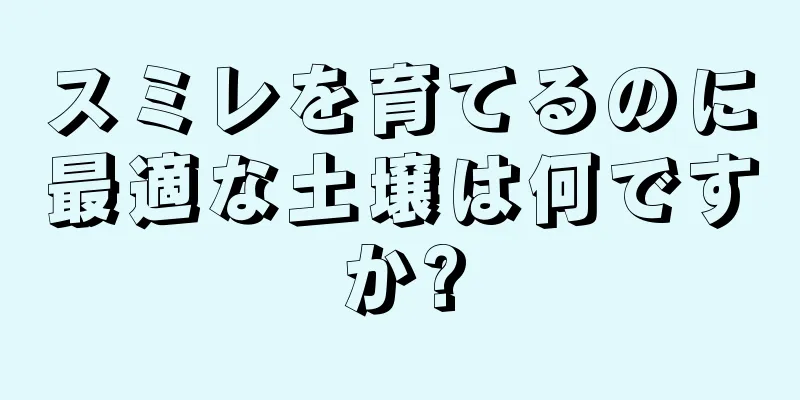 スミレを育てるのに最適な土壌は何ですか?