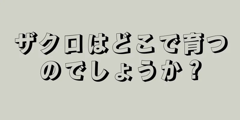 ザクロはどこで育つのでしょうか？