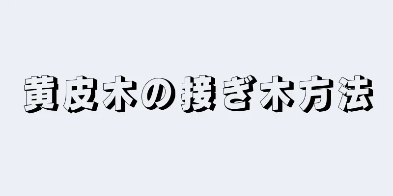 黄皮木の接ぎ木方法