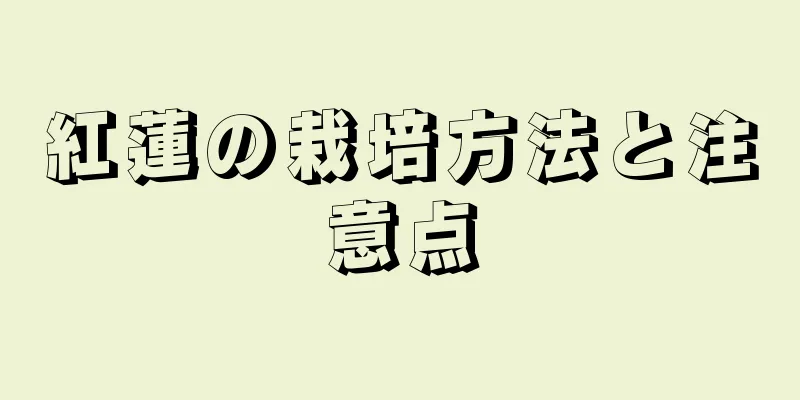 紅蓮の栽培方法と注意点