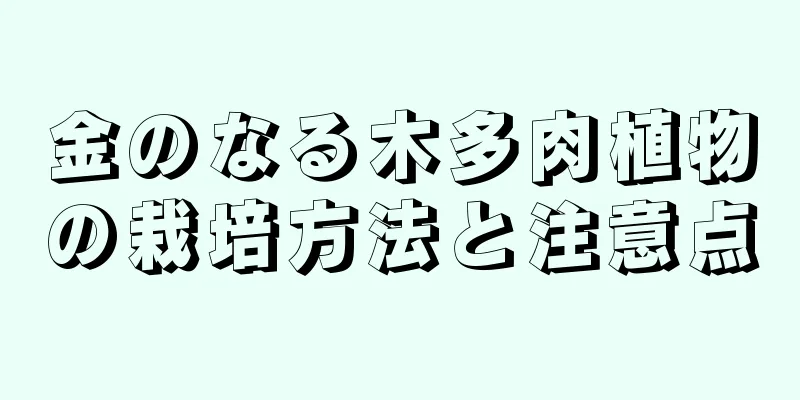 金のなる木多肉植物の栽培方法と注意点