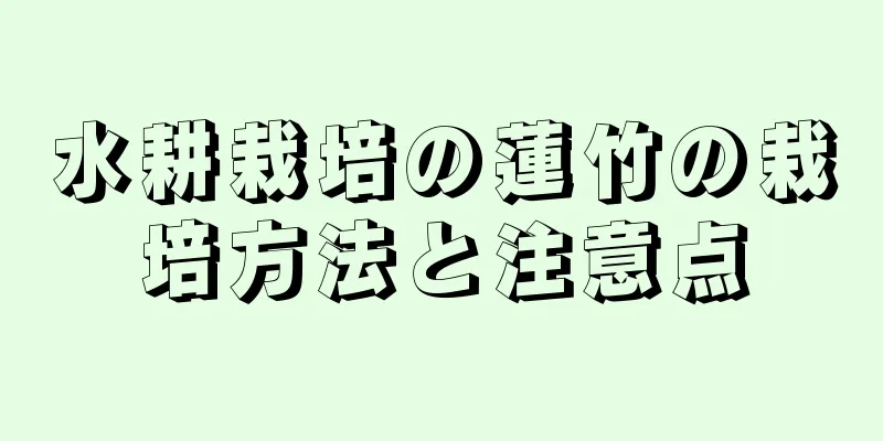 水耕栽培の蓮竹の栽培方法と注意点