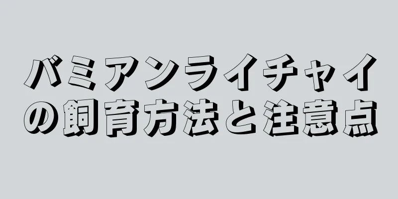 バミアンライチャイの飼育方法と注意点