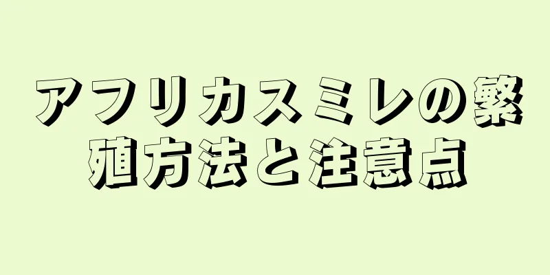 アフリカスミレの繁殖方法と注意点