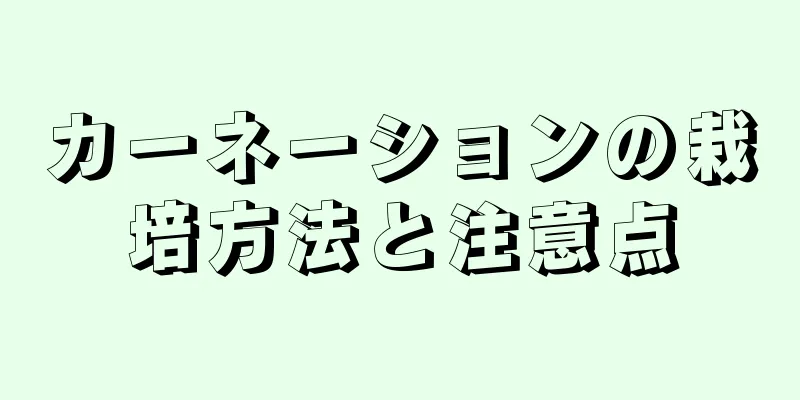 カーネーションの栽培方法と注意点