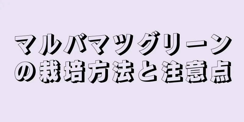 マルバマツグリーンの栽培方法と注意点