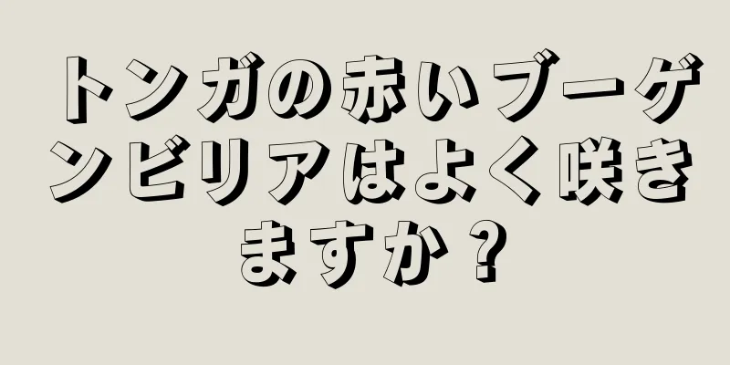 トンガの赤いブーゲンビリアはよく咲きますか？