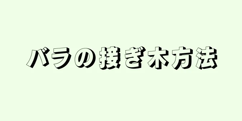 バラの接ぎ木方法