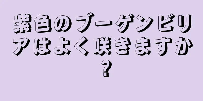 紫色のブーゲンビリアはよく咲きますか？