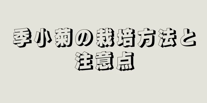 季小菊の栽培方法と注意点