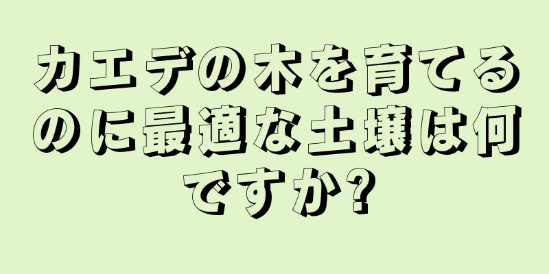 カエデの木を育てるのに最適な土壌は何ですか?