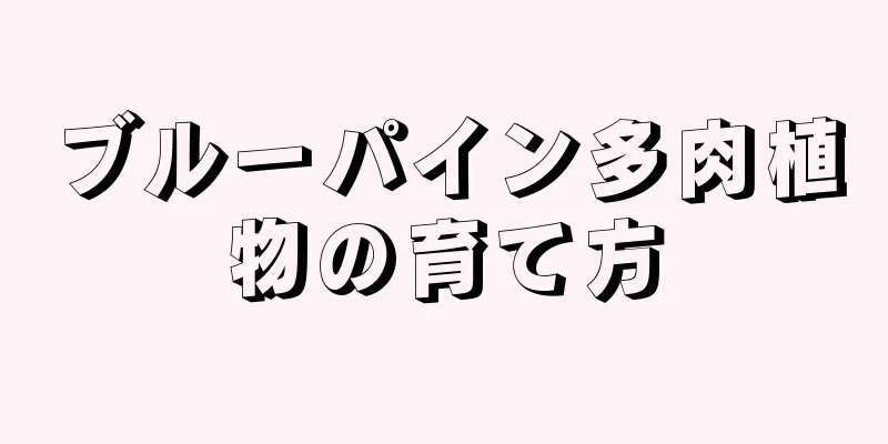 ブルーパイン多肉植物の育て方