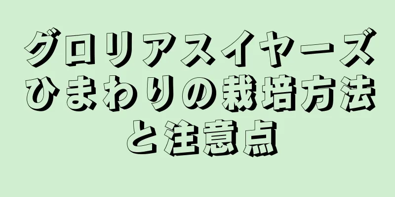 グロリアスイヤーズひまわりの栽培方法と注意点