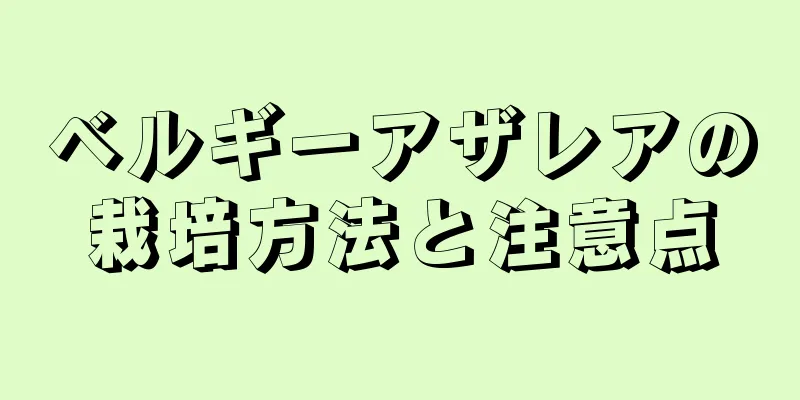 ベルギーアザレアの栽培方法と注意点