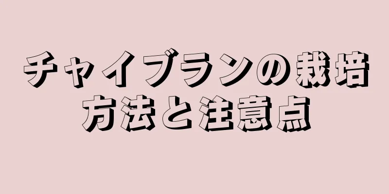 チャイブランの栽培方法と注意点