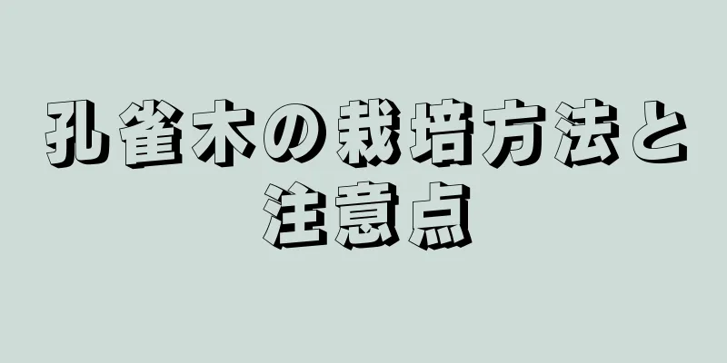 孔雀木の栽培方法と注意点