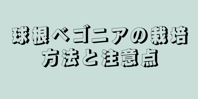 球根ベゴニアの栽培方法と注意点