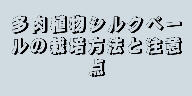 多肉植物シルクベールの栽培方法と注意点