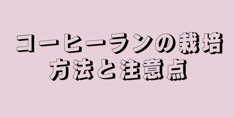 コーヒーランの栽培方法と注意点