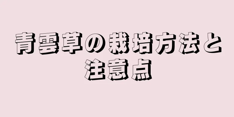 青雲草の栽培方法と注意点