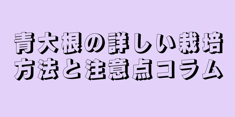 青大根の詳しい栽培方法と注意点コラム