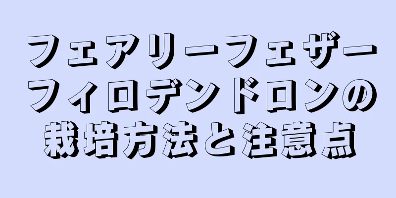 フェアリーフェザーフィロデンドロンの栽培方法と注意点