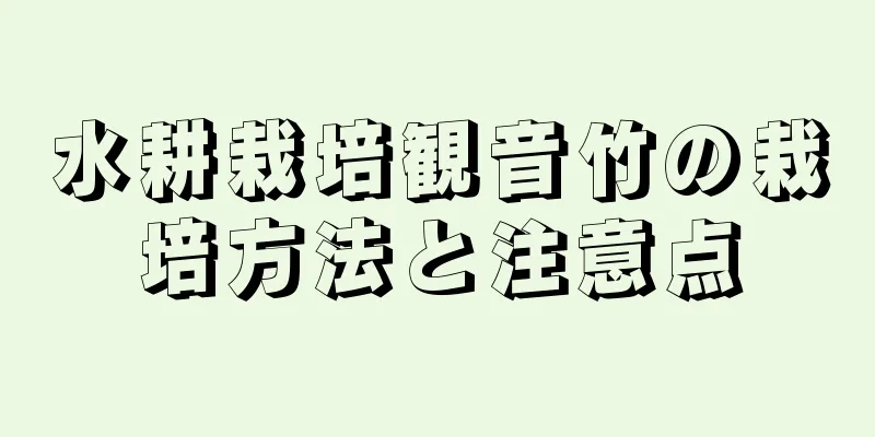 水耕栽培観音竹の栽培方法と注意点
