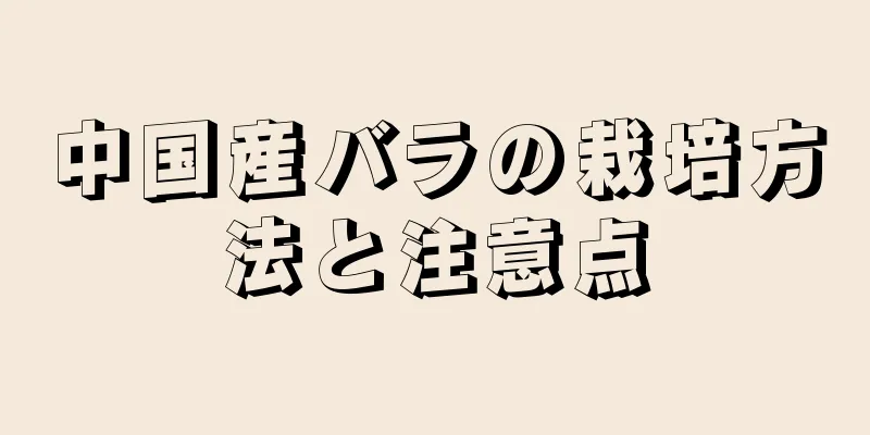 中国産バラの栽培方法と注意点