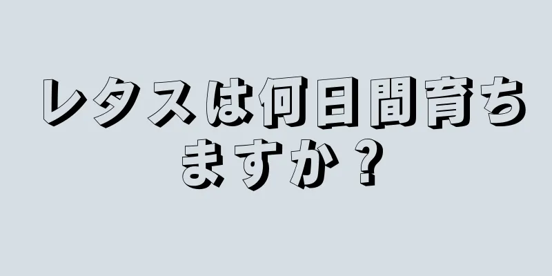 レタスは何日間育ちますか？