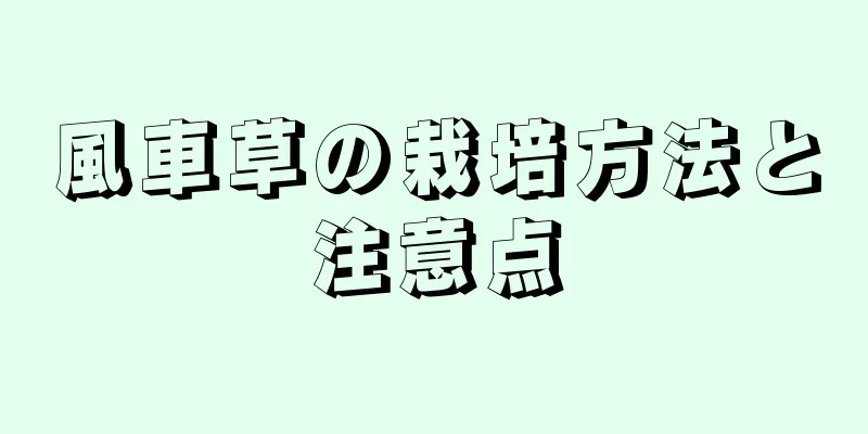 風車草の栽培方法と注意点