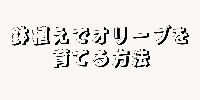 鉢植えでオリーブを育てる方法