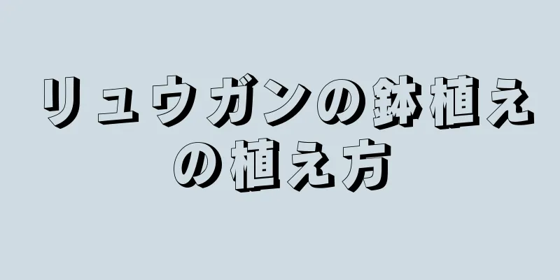 リュウガンの鉢植えの植え方
