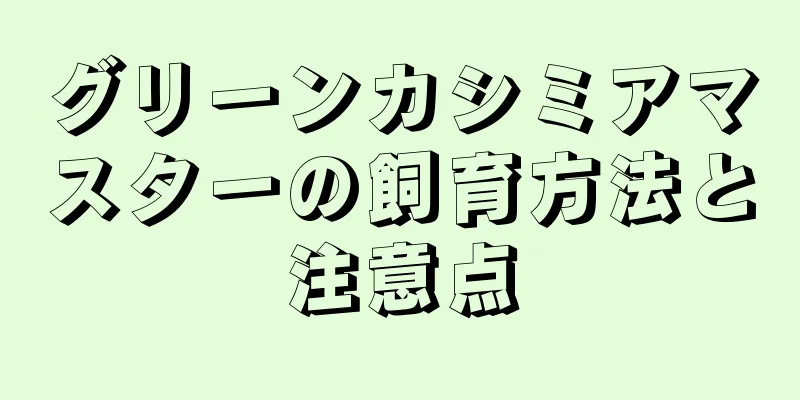 グリーンカシミアマスターの飼育方法と注意点