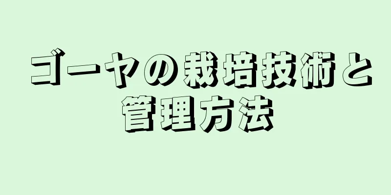 ゴーヤの栽培技術と管理方法