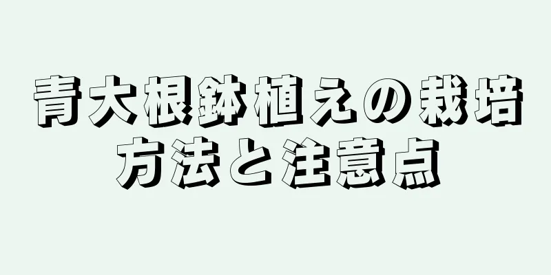 青大根鉢植えの栽培方法と注意点