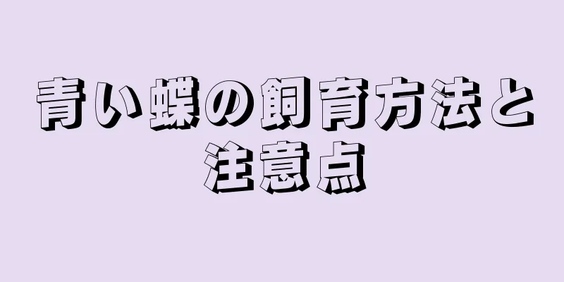 青い蝶の飼育方法と注意点