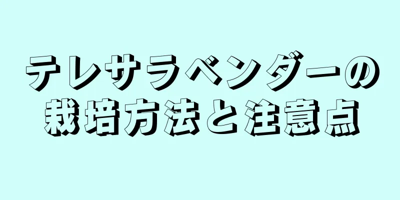 テレサラベンダーの栽培方法と注意点