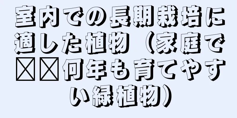 室内での長期栽培に適した植物（家庭で​​何年も育てやすい緑植物）