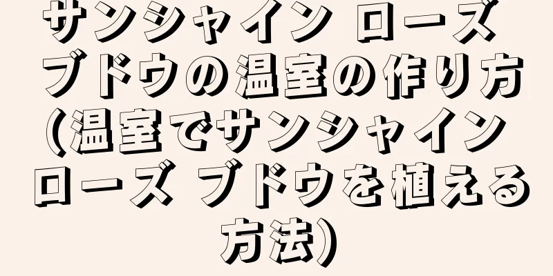 サンシャイン ローズ ブドウの温室の作り方 (温室でサンシャイン ローズ ブドウを植える方法)