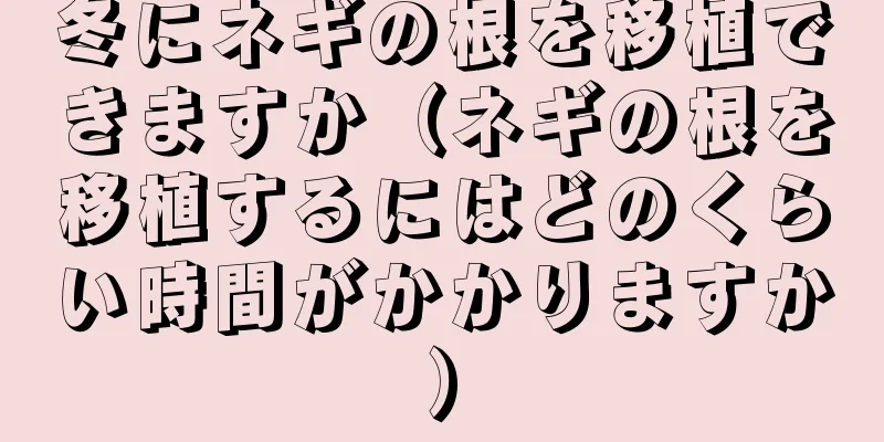 冬にネギの根を移植できますか（ネギの根を移植するにはどのくらい時間がかかりますか）