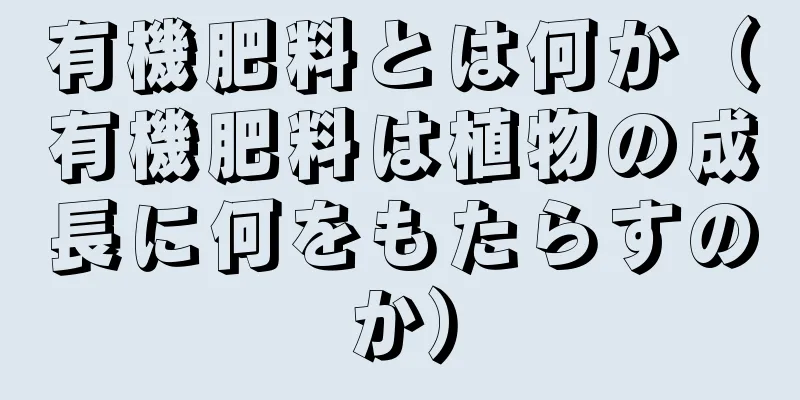 有機肥料とは何か（有機肥料は植物の成長に何をもたらすのか）