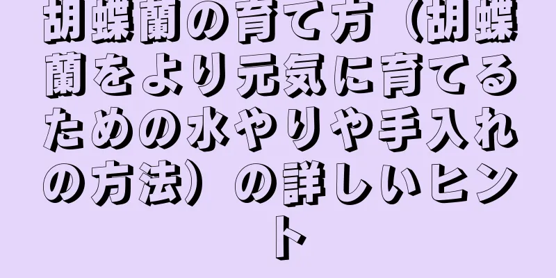 胡蝶蘭の育て方（胡蝶蘭をより元気に育てるための水やりや手入れの方法）の詳しいヒント