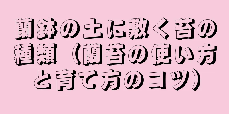 蘭鉢の土に敷く苔の種類（蘭苔の使い方と育て方のコツ）