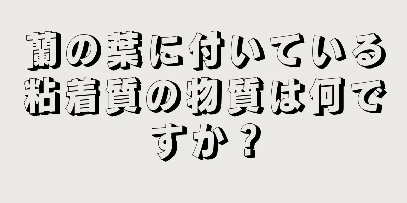 蘭の葉に付いている粘着質の物質は何ですか？