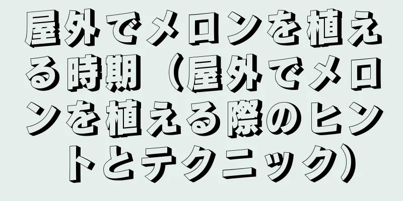 屋外でメロンを植える時期（屋外でメロンを植える際のヒントとテクニック）
