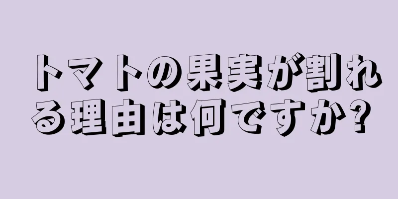 トマトの果実が割れる理由は何ですか?